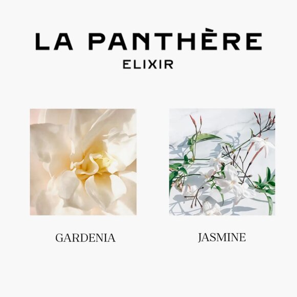 🌹New🌹 Cartier LA PANTHÈRE Elixi.r Spray Deluxe Sample Vial, 2 mL, 0.06 FL.OZ. - Picture 5 of 5